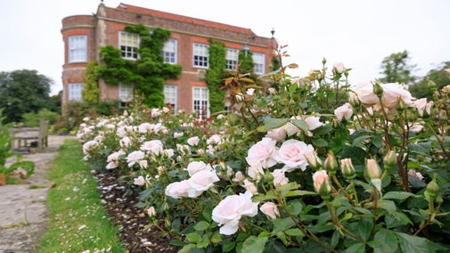Roses in the garden at Hinton Ampner by the pond, with the house in the background